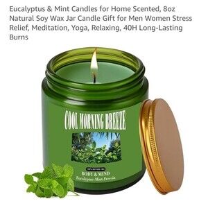 Scented Candle - Eucalyptus & Mint - 8 Oz Aromatherapy Soy Wax Jar Candle 40H